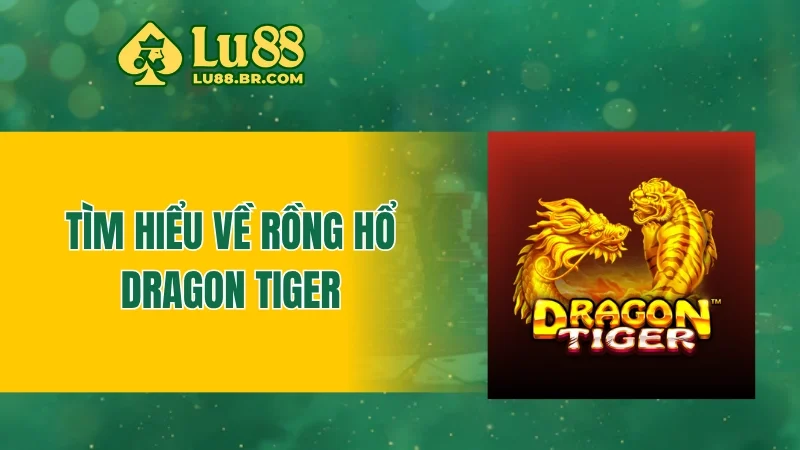 Tìm hiểu về rồng hổ - Dragon Tiger