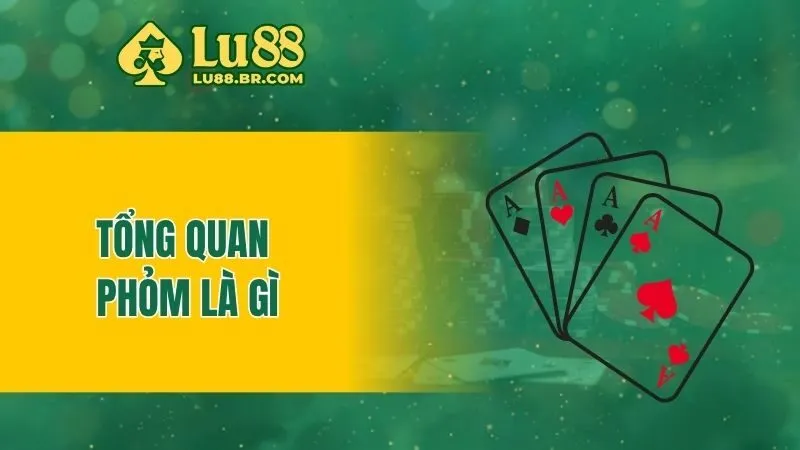 Tổng quan phỏm là gì